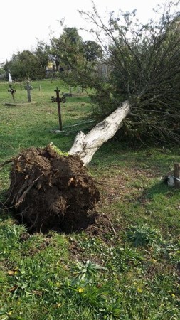 Vihar a temetőben 171029